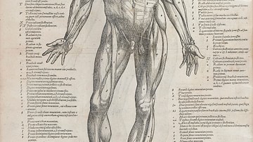 Page from On the Fabric of the Human Body