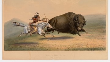 Cheyenne Legends of the Buffalo