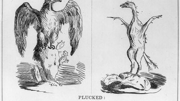 Yankee Doodle's Plucked Eagle