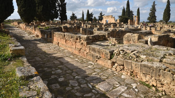 Roman Insulae in Utica