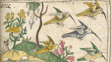 A Charm of Hummingbirds