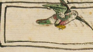 Hummingbird Drinking Nectar