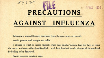 Precautions Against Influenza