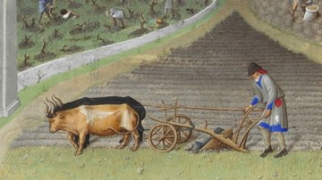 Peasant Life in a Medieval Manor