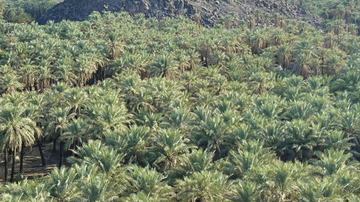 Khaybar Oasis Fortifications