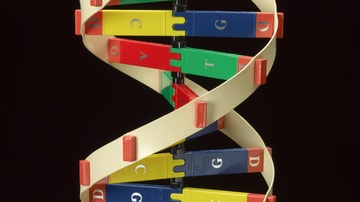 জেনেটিক্সের সংক্ষিপ্ত ইতিহাস