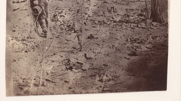 Wilderness Battlefield