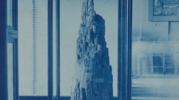 Bullet-Shattered Stump From the Battle of Spotsylvania