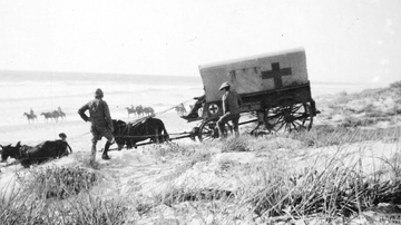Ambulance Wagon, Boer War
