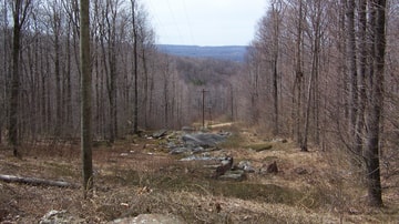 Looking Westward (Downhill) from Rich Mountain