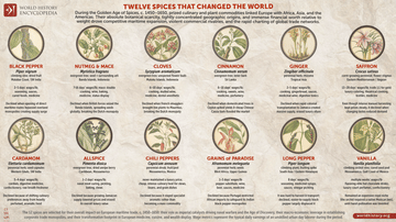 Twelve Spices That Changed the World