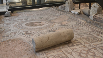 Peacock Mosaic from the Bishop's Basilica of Philippopolis