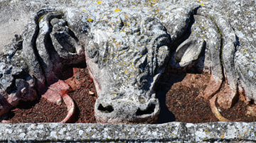 Bull's Head Architectural Decoration from Ulpia Oescus
