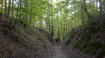 Sunken Natchez Trace