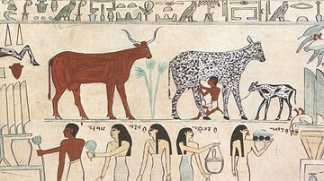 Early Domestication of Cattle