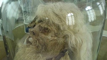 Original Saltman Mummy