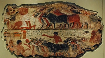 Egyptian Cattle Herd