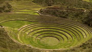 Alimentation et Agriculture Inca