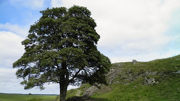 Hadrian's Wall, Sycamore Gap