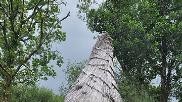 Mesolithic Hut in Ireland