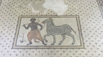 Zebra Whisperer: Haleplibahce Mosaics of Edessa