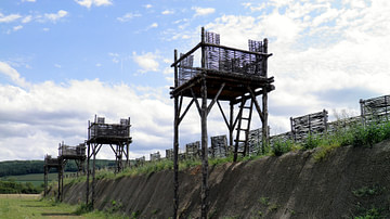 Reconstruction of the Rampart of the Circumvallation, Alesia