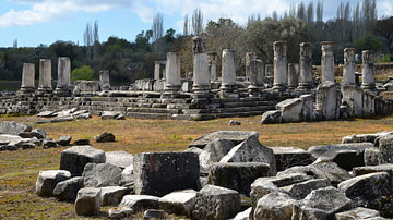 The Temple of Hecate in Lagina, Caria