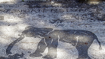 Elephant Mosaic from Ostia