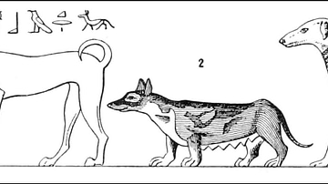 Egyptian Dog Types