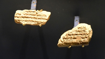 Additional Fragments of the Cyrus Cylinder Text