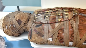 Male Egyptian Mummy with Amulets