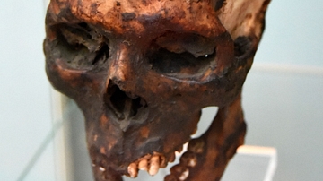 Skull of Meryrehashtef