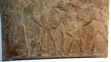 Captured Camels from Arab Enemies of Tiglath-pileser III