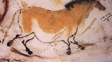 Painting of a Horse, Lascaux Cave