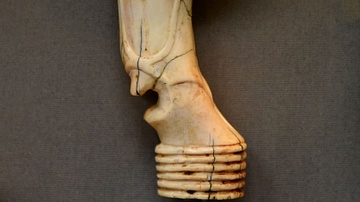 Ivory Stool Leg