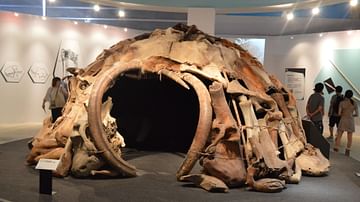 Replica of a Mammoth-bone Structure