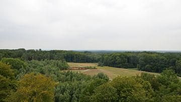 Teutoburg Forest