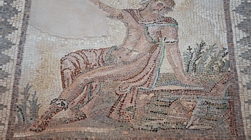 Narcissus Mosaic