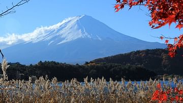 Mount Fuji, Honshu