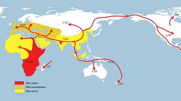 Map of Homo Sapiens Migration