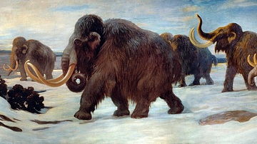 Woolly mammoths