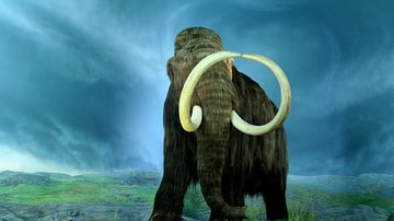 El mamut lanudo