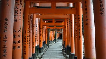 Torii, Fushimi Inari shrine