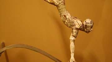 Minoan Bull-Leaper