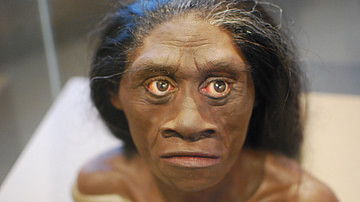 Homo Floresiensis Reconstruction