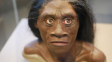 Homo Floresiensis