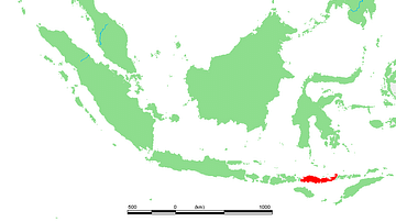 Location of the Island of Flores, Indonesia