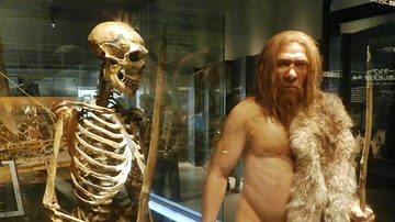 Neanderthal Skeleton & Reconstruction