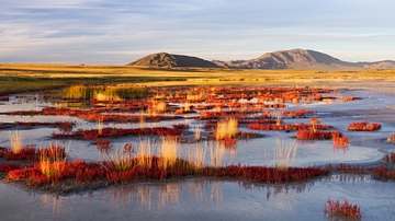 Mammoth Steppe