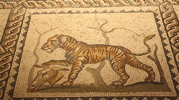 Tiger Mosaic, Tarentum